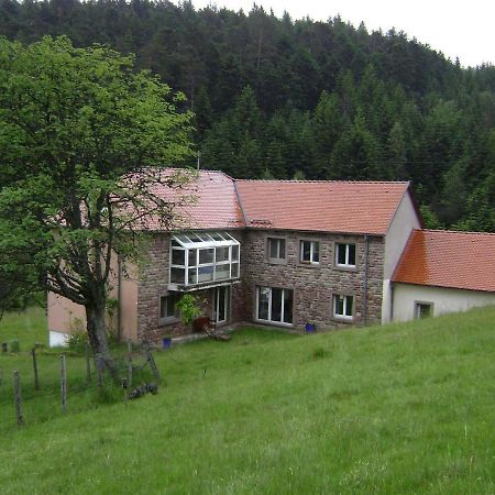 Gite Hansel De La Ferme Du Schneeberg Wangenbourg-Engenthal Εξωτερικό φωτογραφία