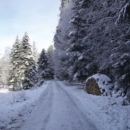 Gite Hansel De La Ferme Du Schneeberg Wangenbourg-Engenthal Εξωτερικό φωτογραφία