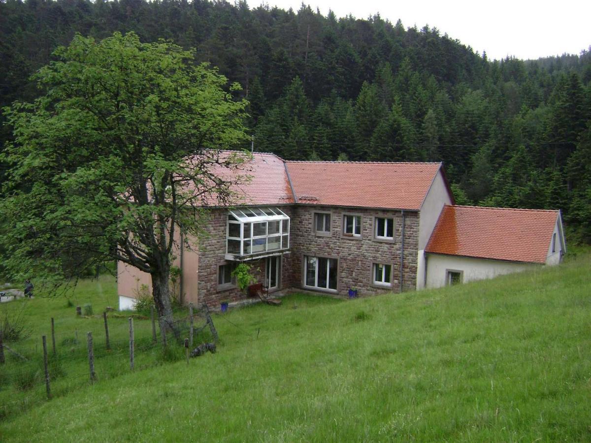 Gite Hansel De La Ferme Du Schneeberg Wangenbourg-Engenthal Εξωτερικό φωτογραφία