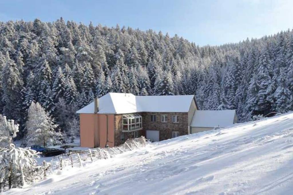 Gite Hansel De La Ferme Du Schneeberg Wangenbourg-Engenthal Εξωτερικό φωτογραφία