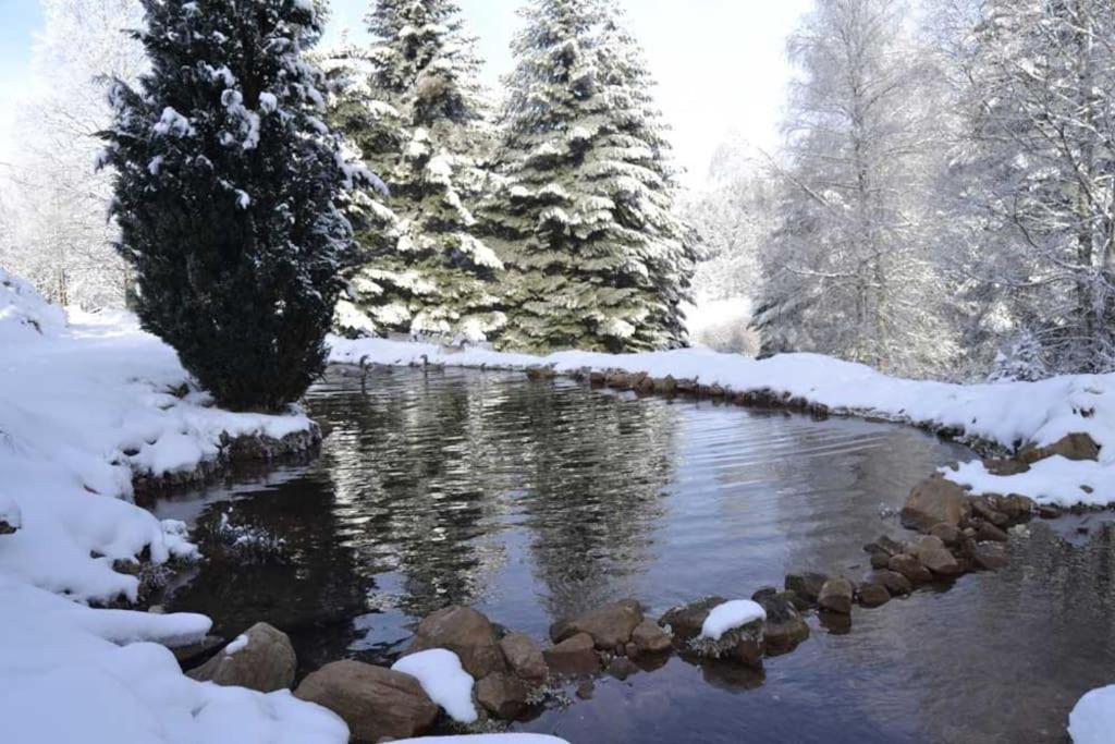 Gite Hansel De La Ferme Du Schneeberg Wangenbourg-Engenthal Εξωτερικό φωτογραφία